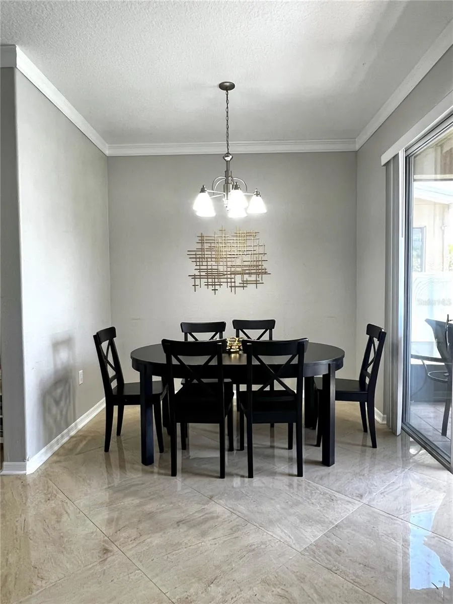 8848 CAMERON CREST DRIVE Tampa, FL 33626