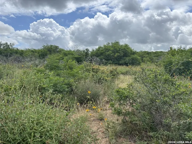 0 CR 1515 Moore, TX 78057