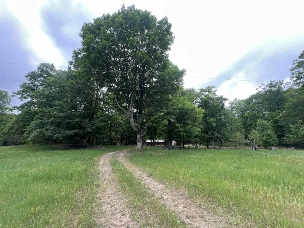 4169 25 ROAD Antioch Township, MI 49668