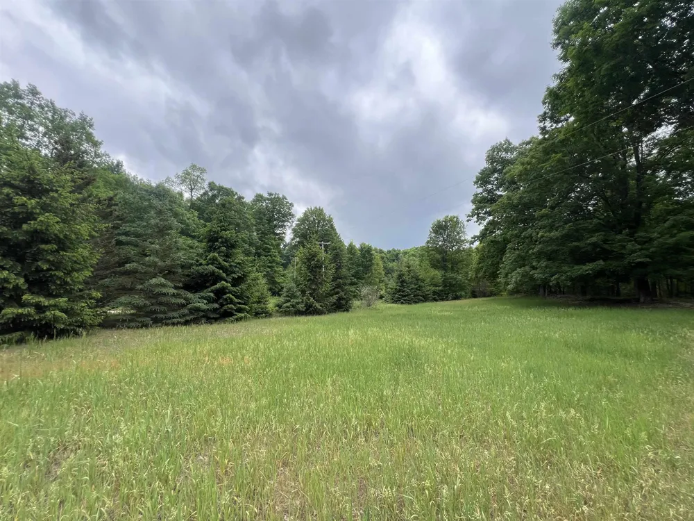 4169 25 ROAD Antioch Township, MI 49668