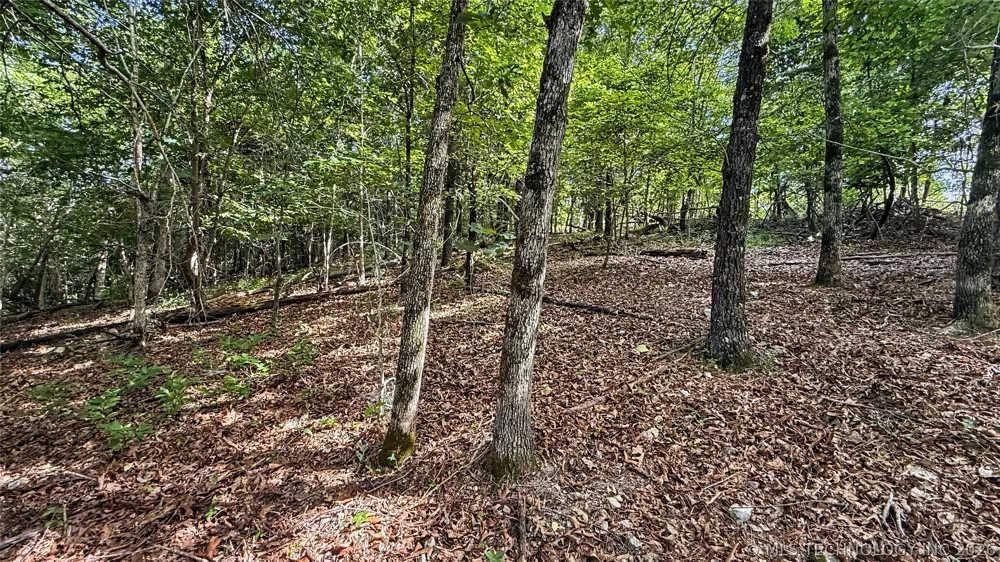 1235 Pheasant Run Road Kansas, OK 74347