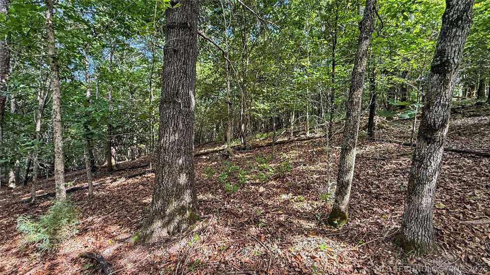 1235 Pheasant Run Road Kansas, OK 74347