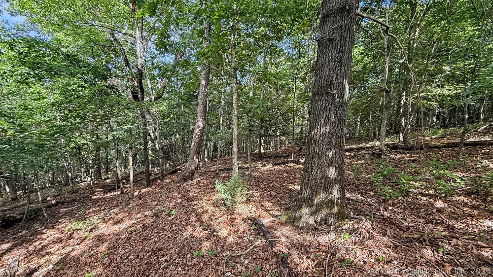 1235 Pheasant Run Road Kansas, OK 74347