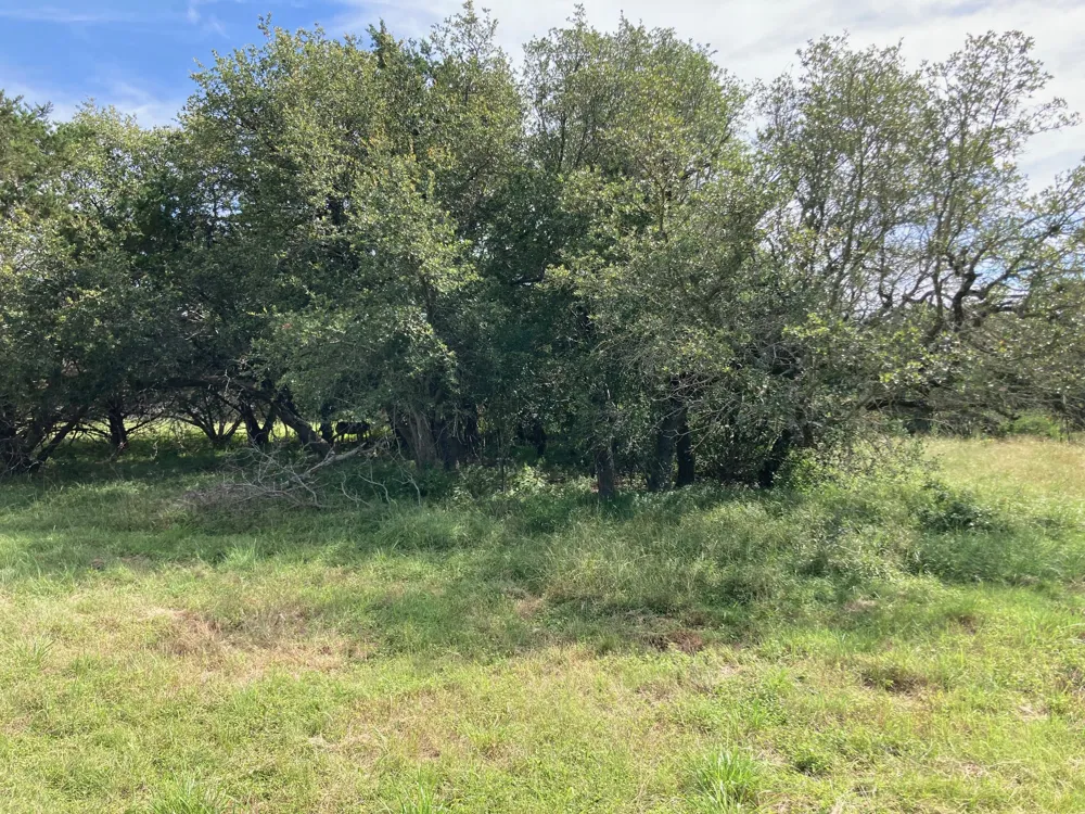 1050 Harmon Hills Road Dripping Springs, TX 78620