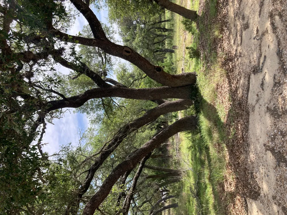 1050 Harmon Hills Road Dripping Springs, TX 78620