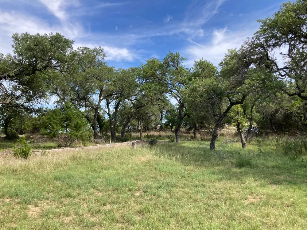 1050 Harmon Hills Road Dripping Springs, TX 78620