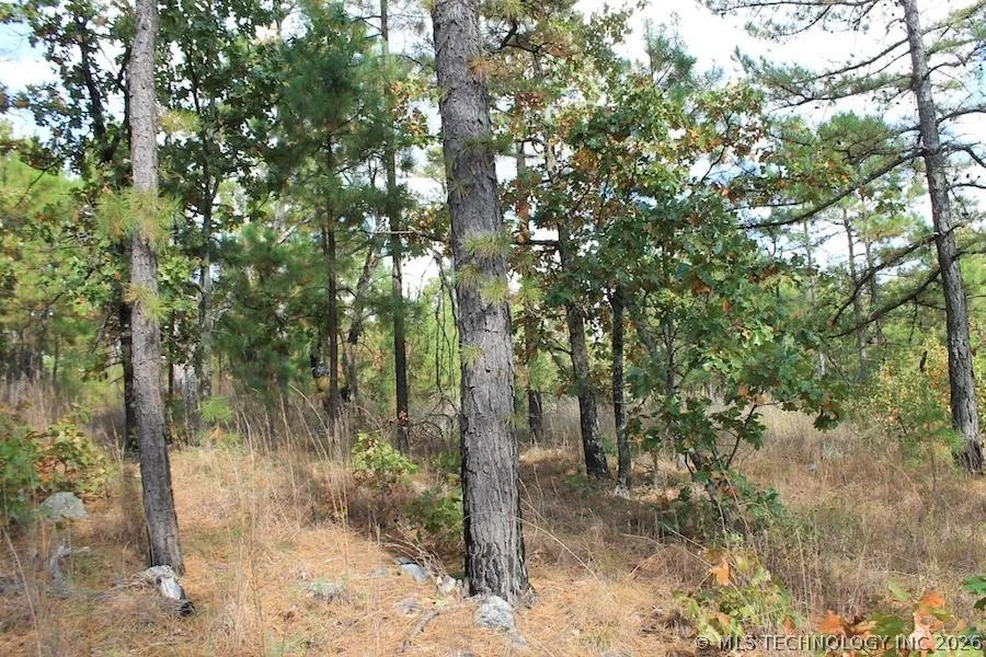 Wagonwheel Road Stringtown, OK 74525