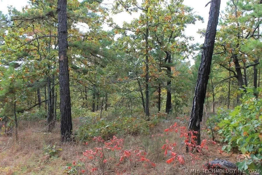 Wagonwheel Road Stringtown, OK 74525