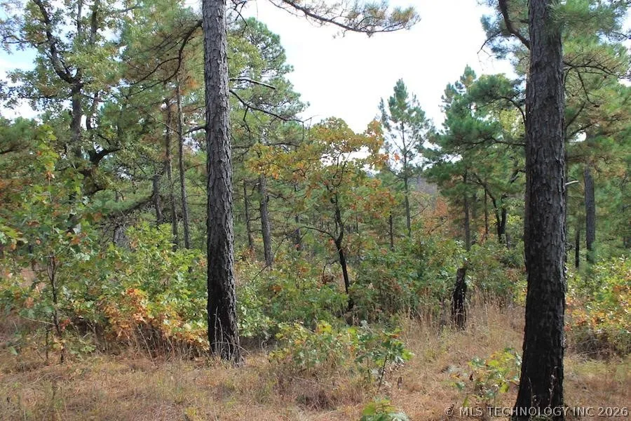 Wagonwheel Road Stringtown, OK 74525