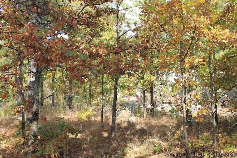 Wagonwheel Road Stringtown, OK 74525