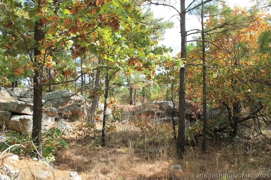 Wagonwheel Road Stringtown, OK 74525
