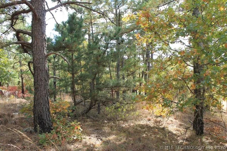 Wagonwheel Road Stringtown, OK 74525