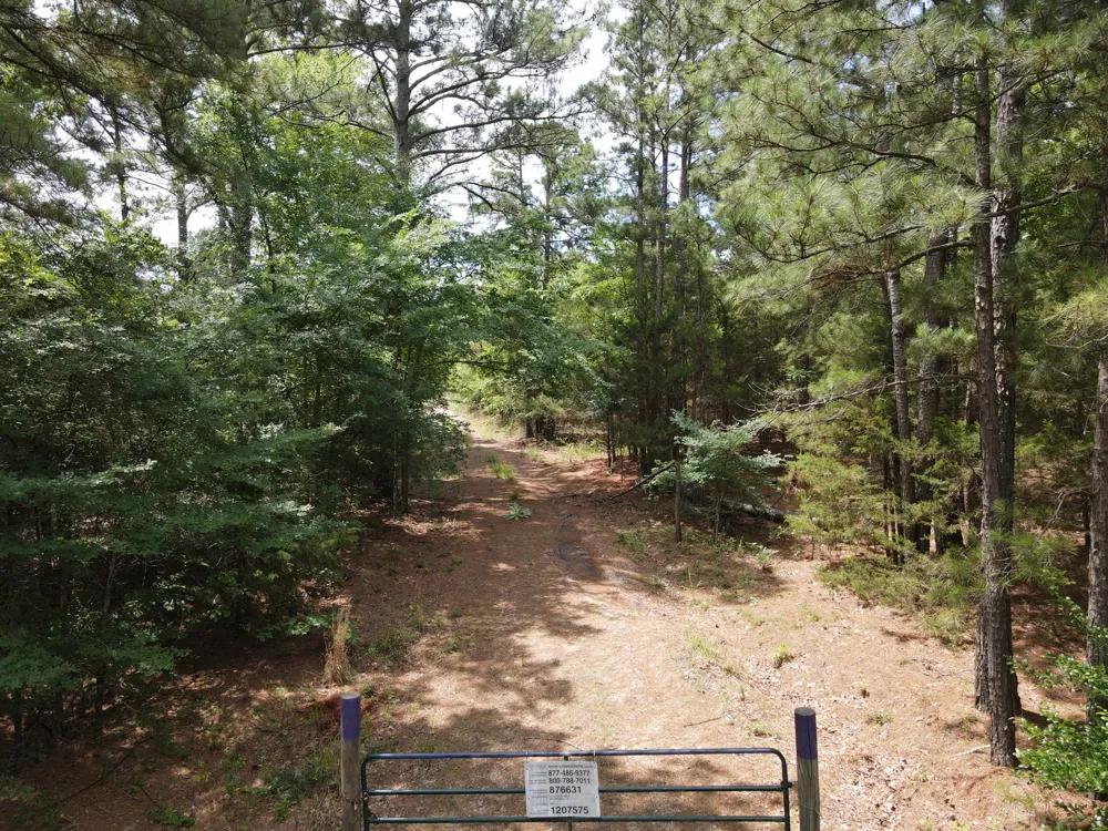 VZ County Road 4814 Ben Wheeler, TX 75754