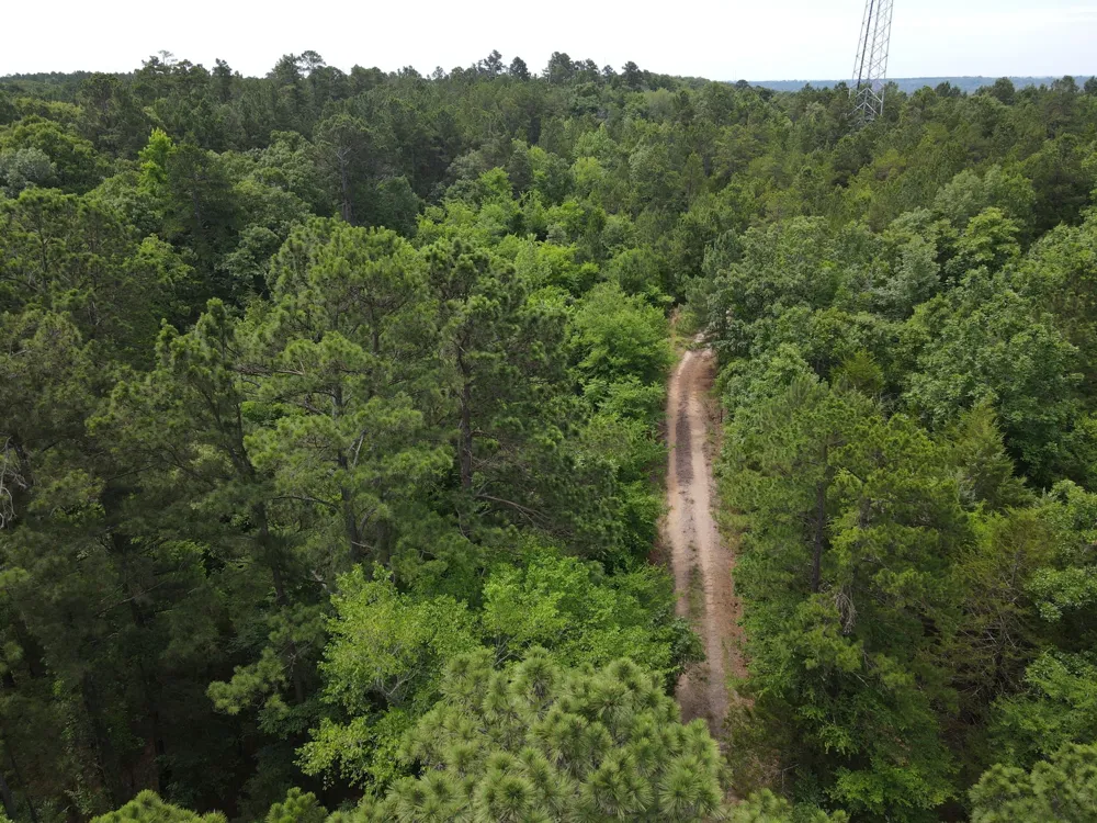 VZ County Road 4814 Ben Wheeler, TX 75754