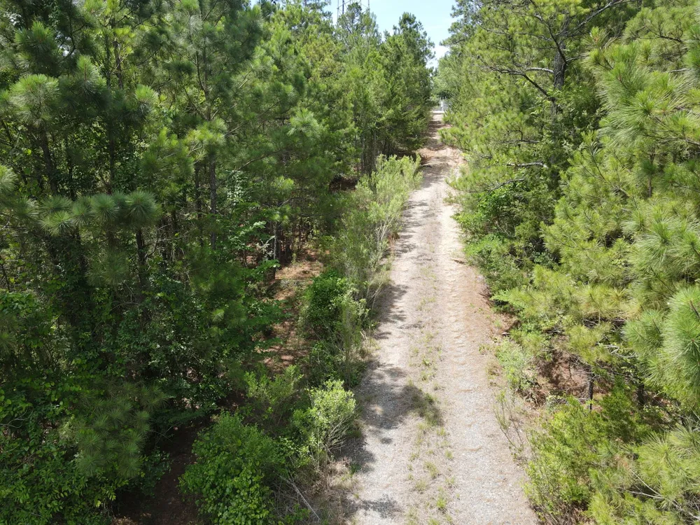 VZ County Road 4814 Ben Wheeler, TX 75754