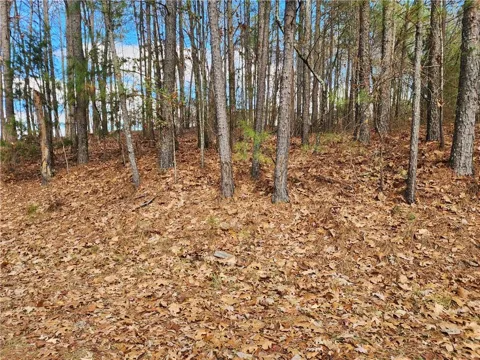 91 Cannon Ridge View
