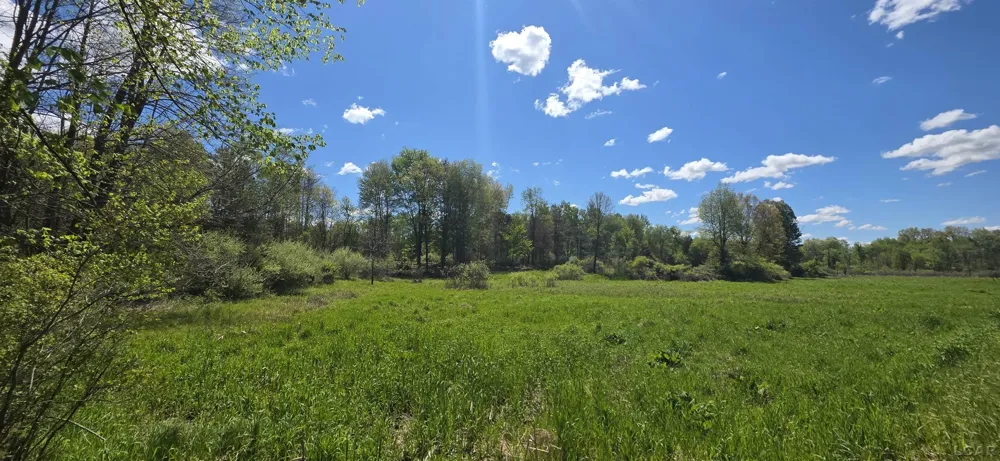 15252 27 Mile Road Sheridan Township, MI 49224