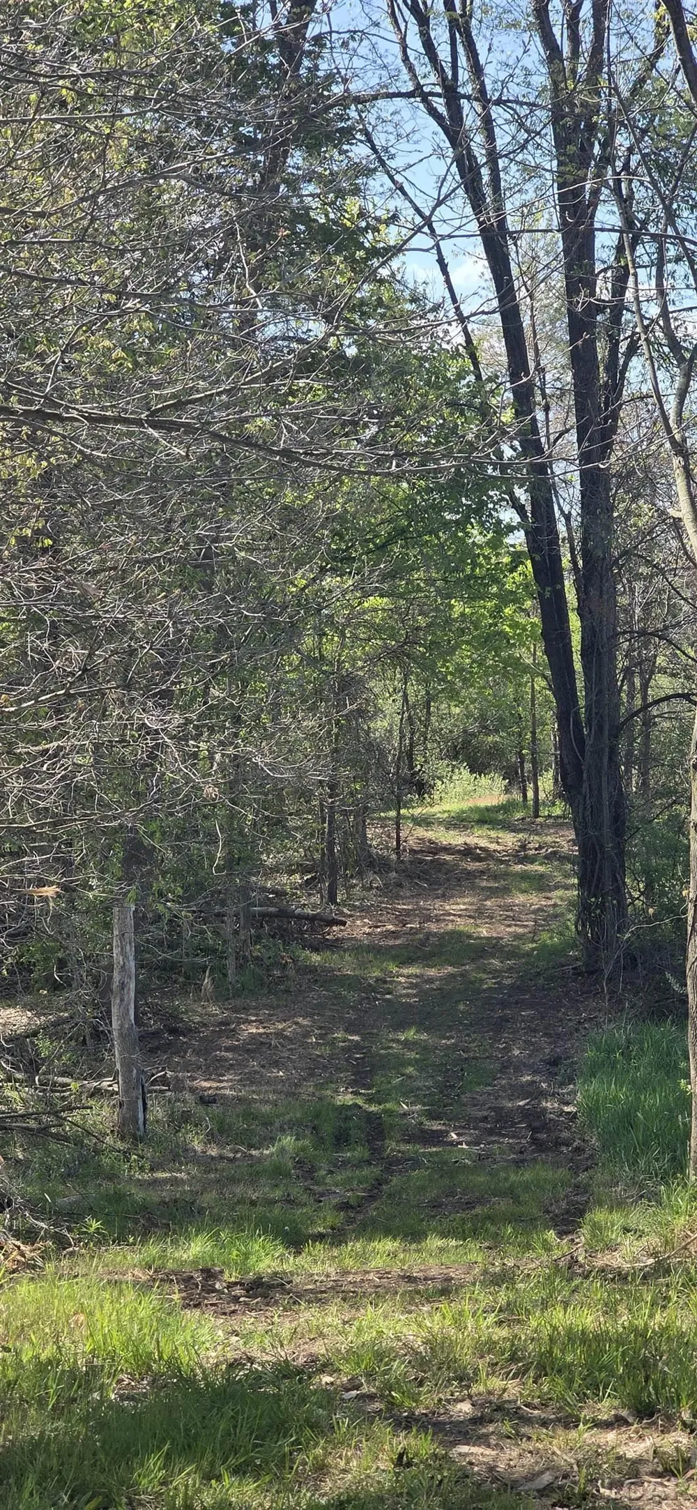 15252 27 Mile Road Sheridan Township, MI 49224