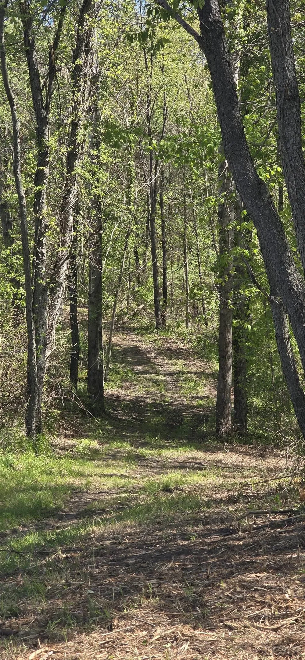 15252 27 Mile Road Sheridan Township, MI 49224