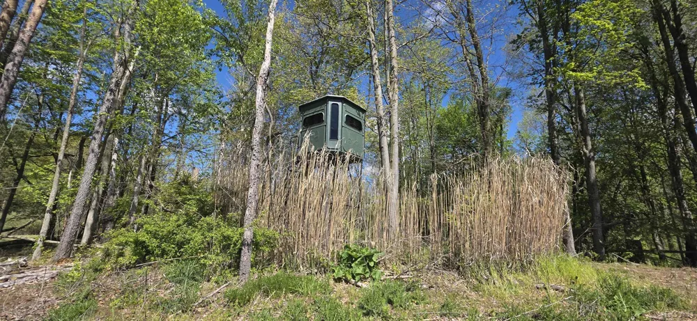 15252 27 Mile Road Sheridan Township, MI 49224