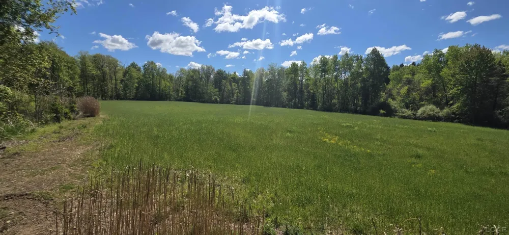 15252 27 Mile Road Sheridan Township, MI 49224