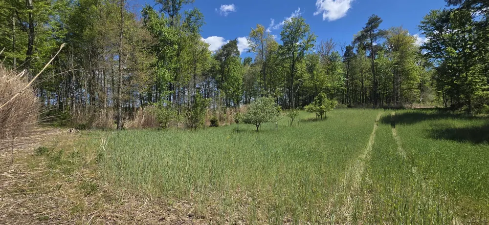 15252 27 Mile Road Sheridan Township, MI 49224