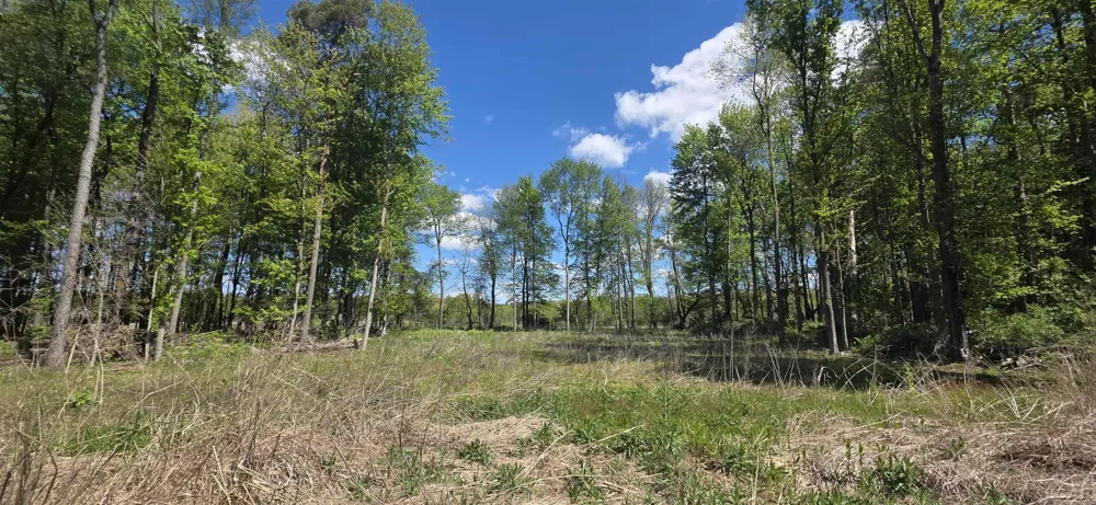 15252 27 Mile Road Sheridan Township, MI 49224