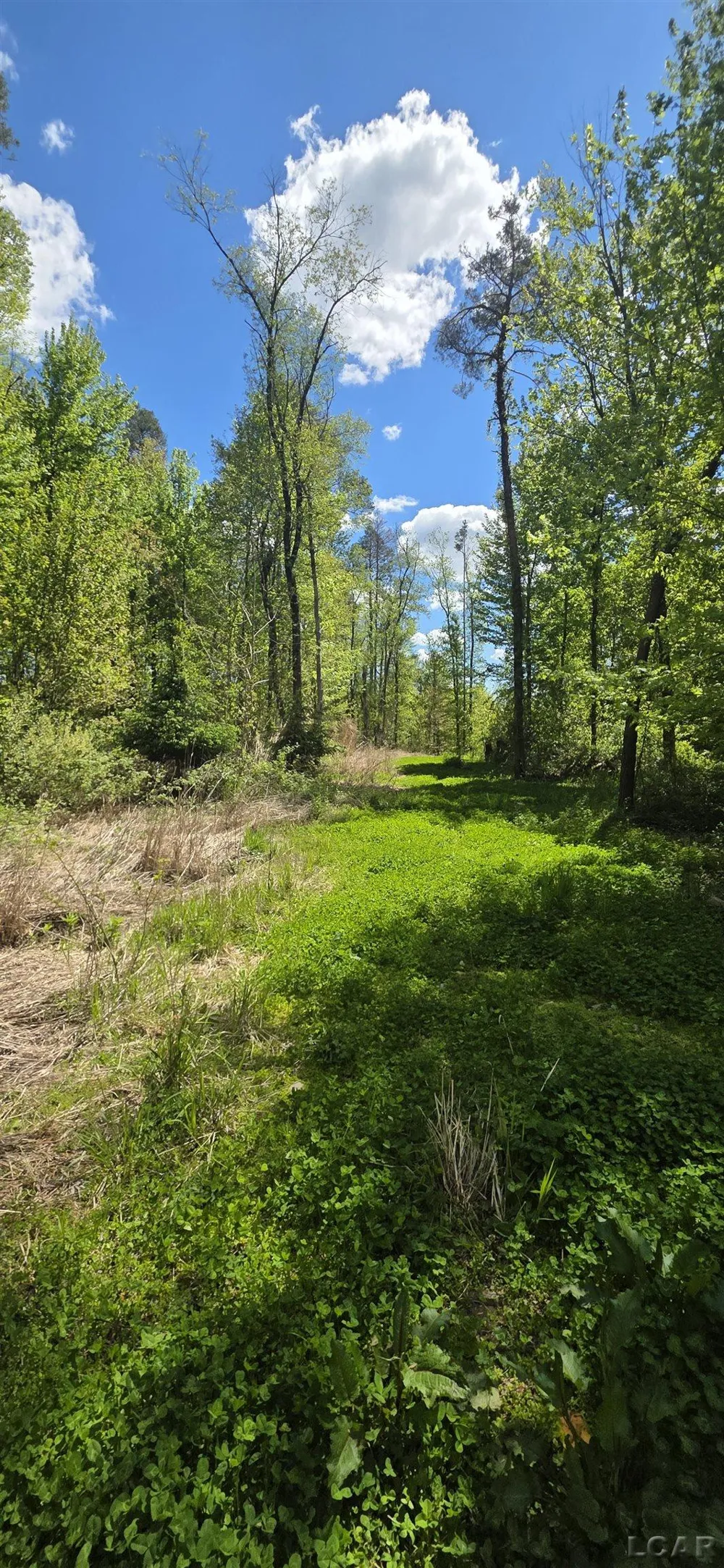 15252 27 Mile Road Sheridan Township, MI 49224
