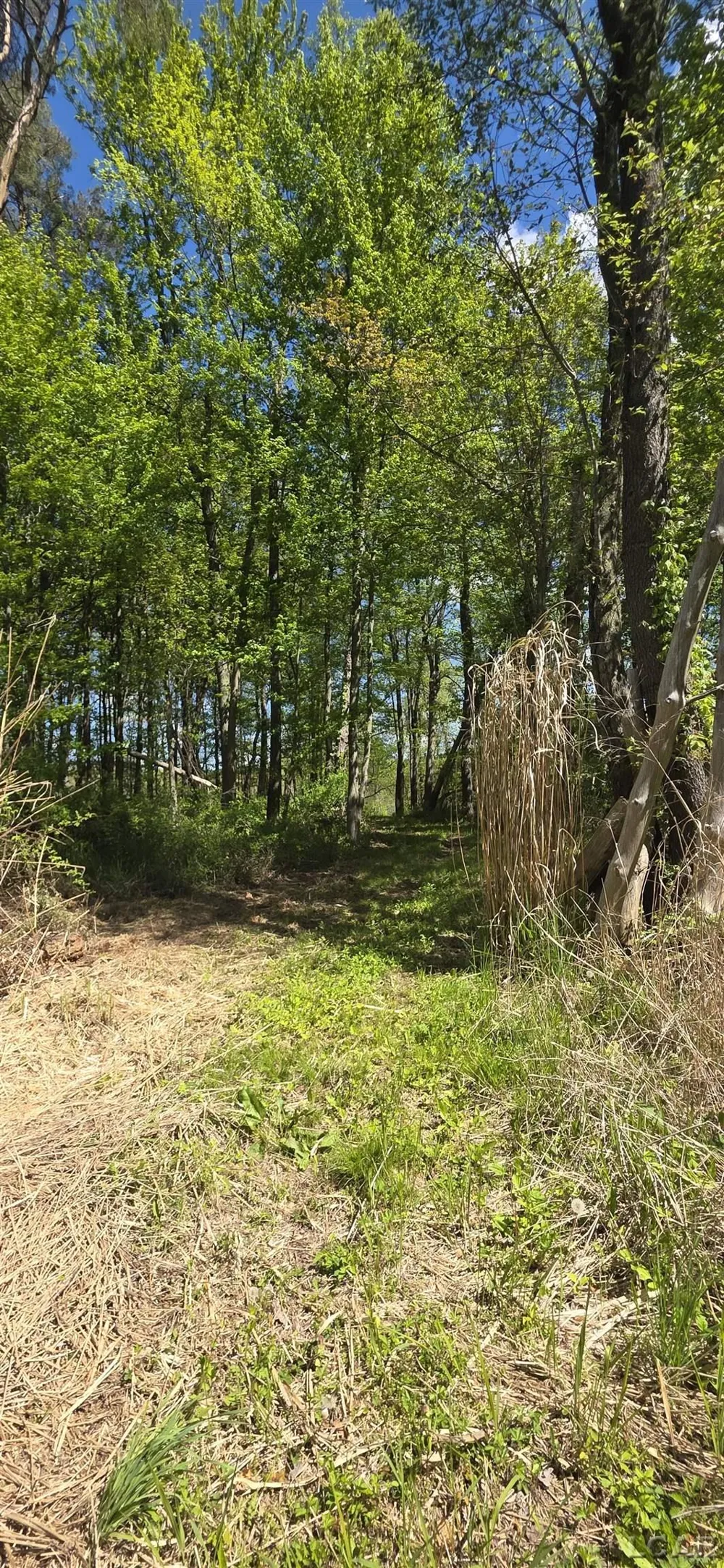 15252 27 Mile Road Sheridan Township, MI 49224