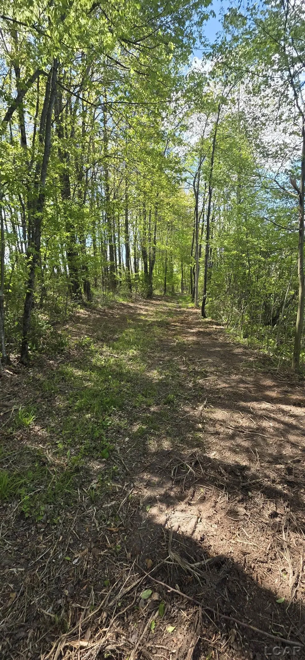 15252 27 Mile Road Sheridan Township, MI 49224