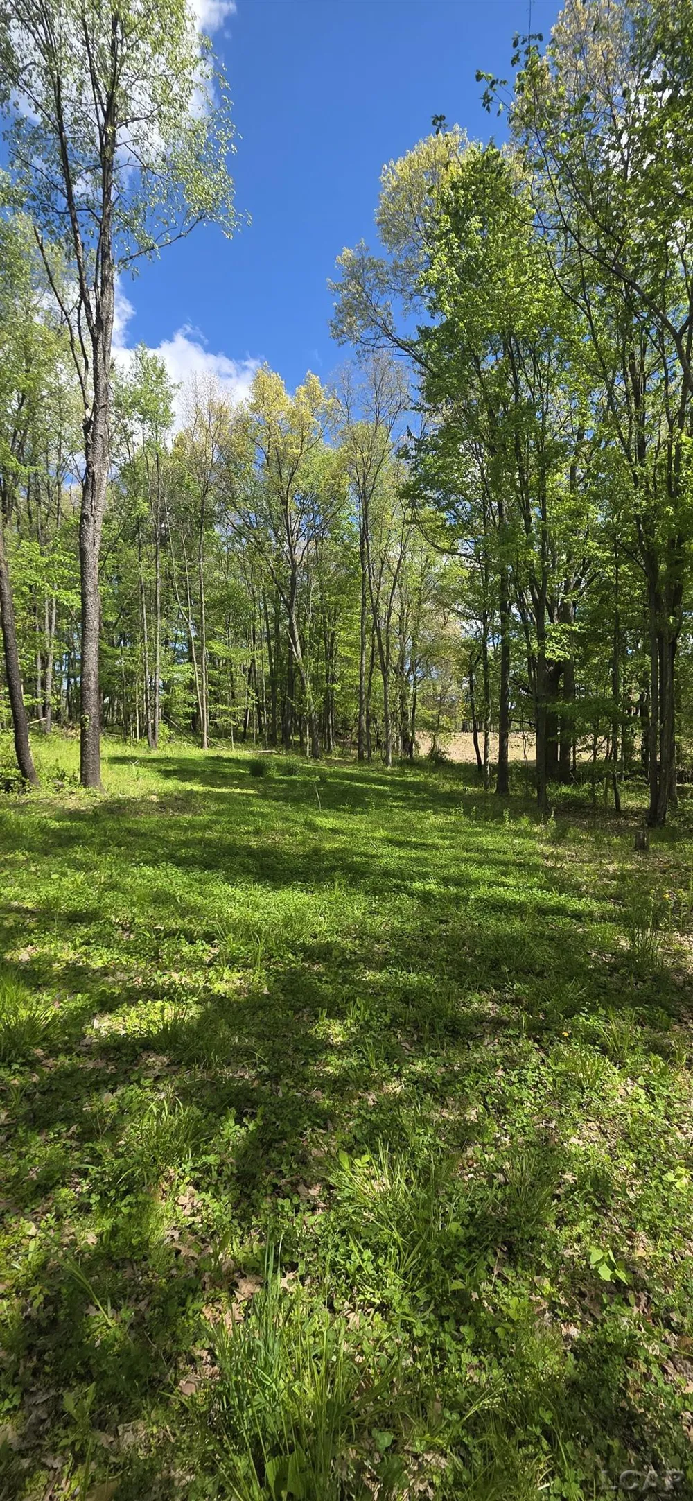15252 27 Mile Road Sheridan Township, MI 49224
