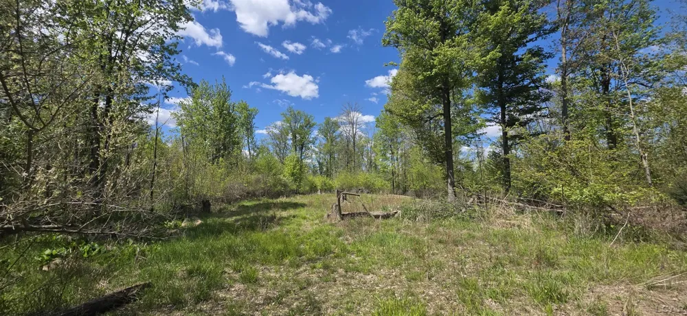 15252 27 Mile Road Sheridan Township, MI 49224
