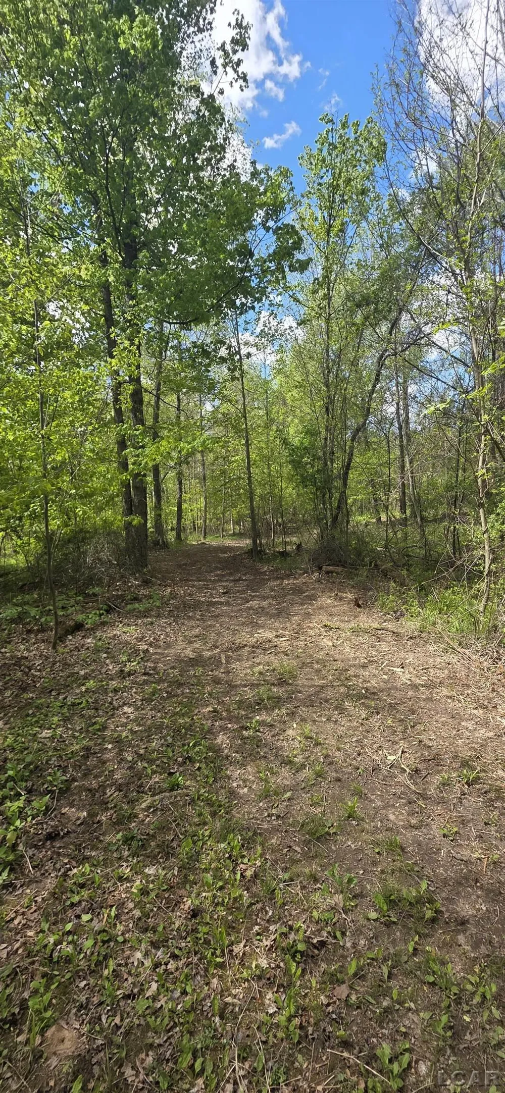 15252 27 Mile Road Sheridan Township, MI 49224