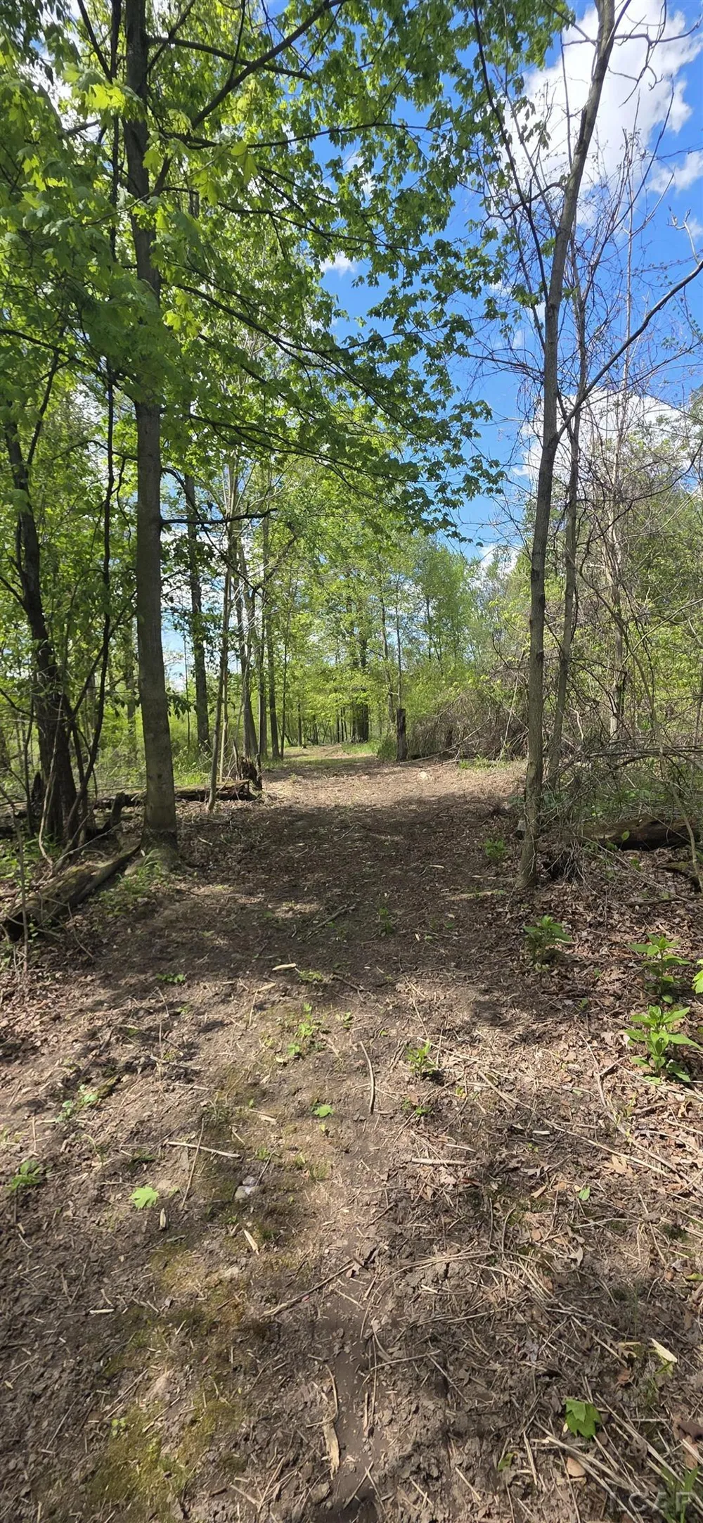 15252 27 Mile Road Sheridan Township, MI 49224