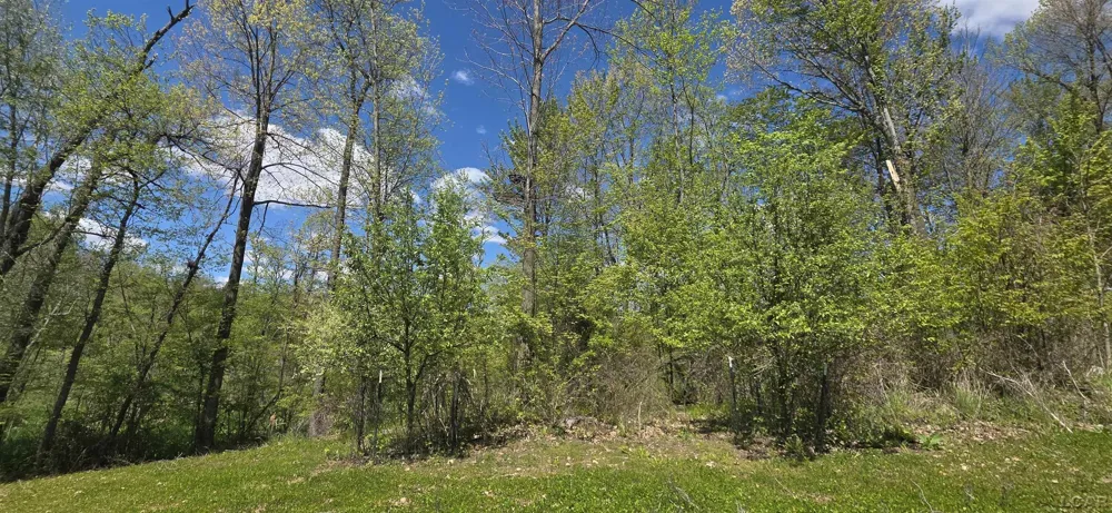 15252 27 Mile Road Sheridan Township, MI 49224