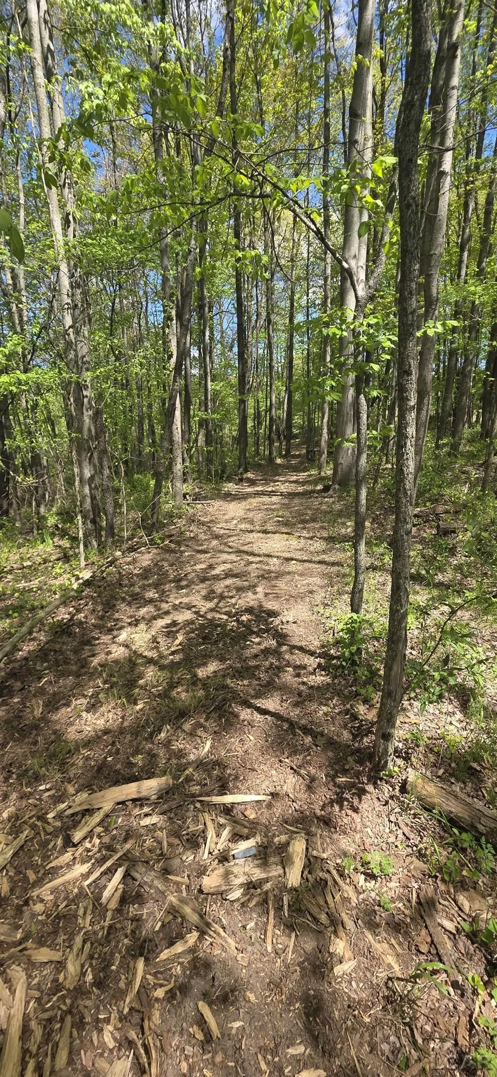 15252 27 Mile Road Sheridan Township, MI 49224
