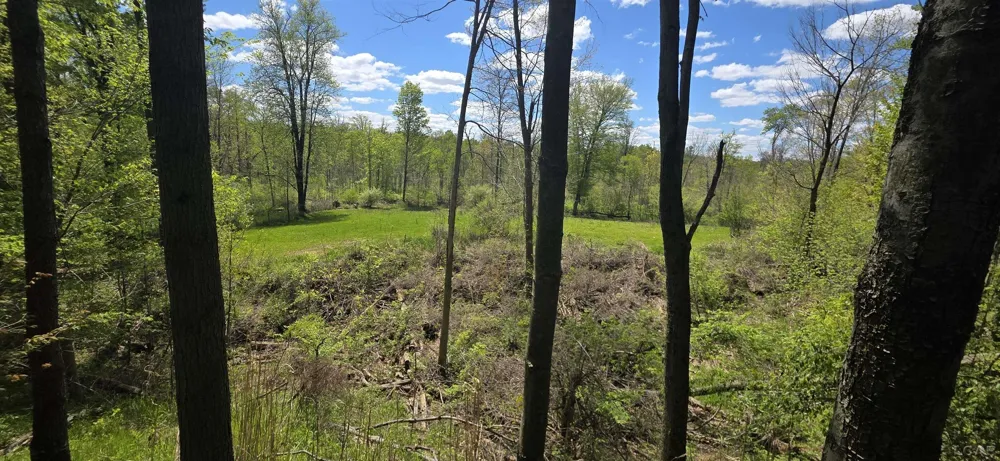 15252 27 Mile Road Sheridan Township, MI 49224