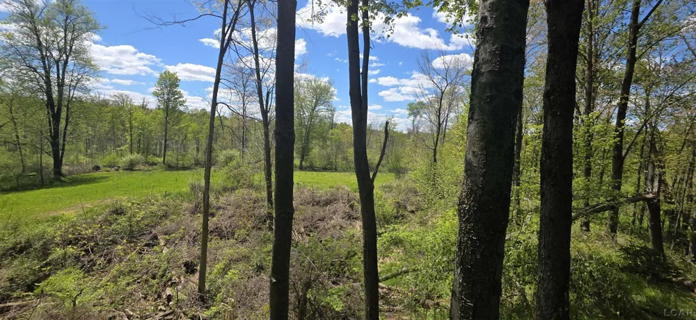 15252 27 Mile Road Sheridan Township, MI 49224