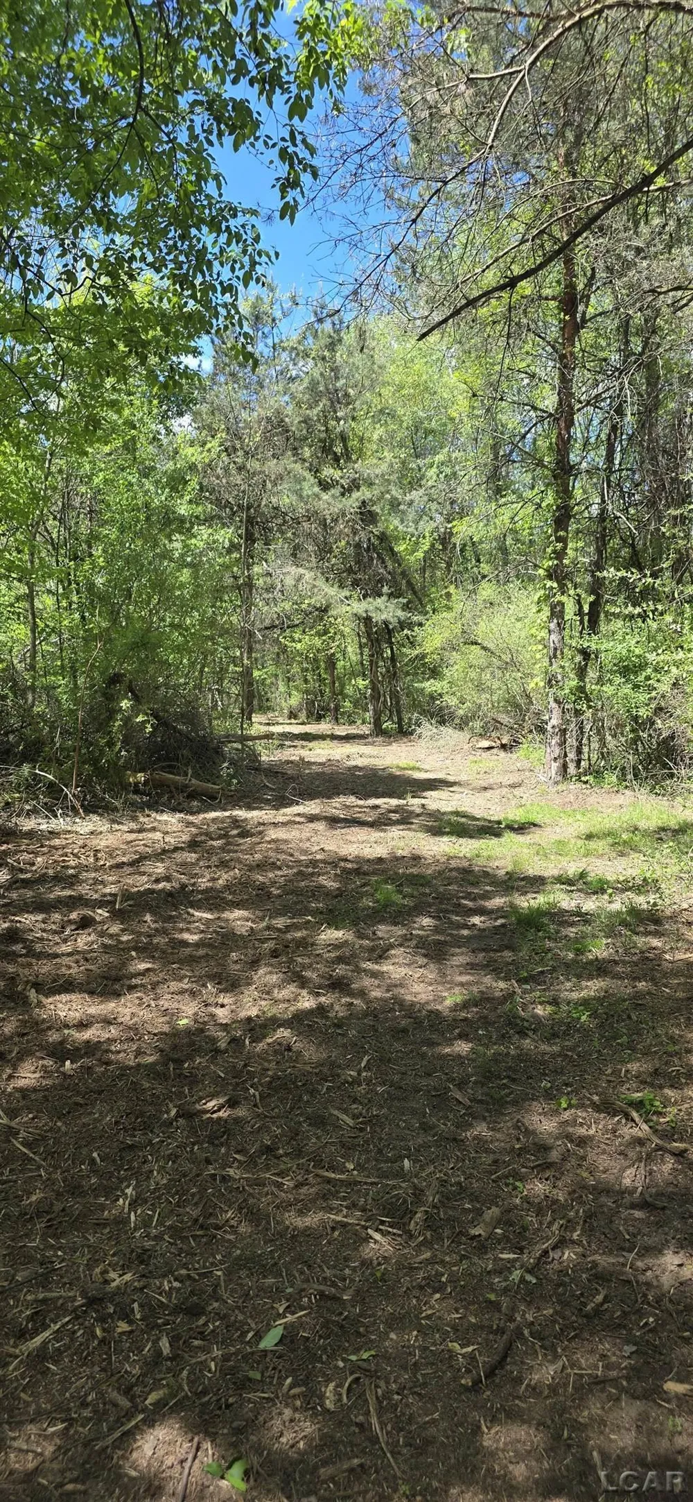 15252 27 Mile Road Sheridan Township, MI 49224