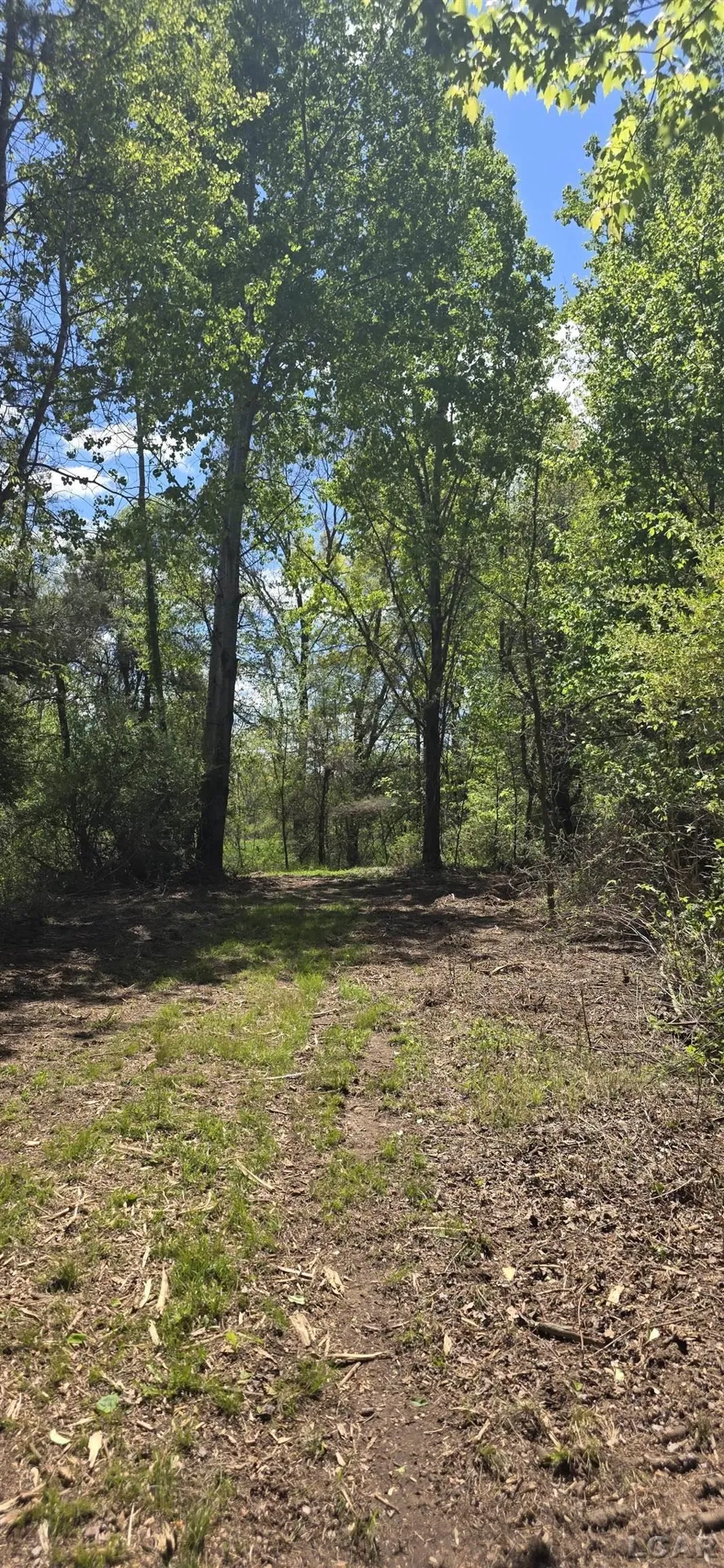 15252 27 Mile Road Sheridan Township, MI 49224
