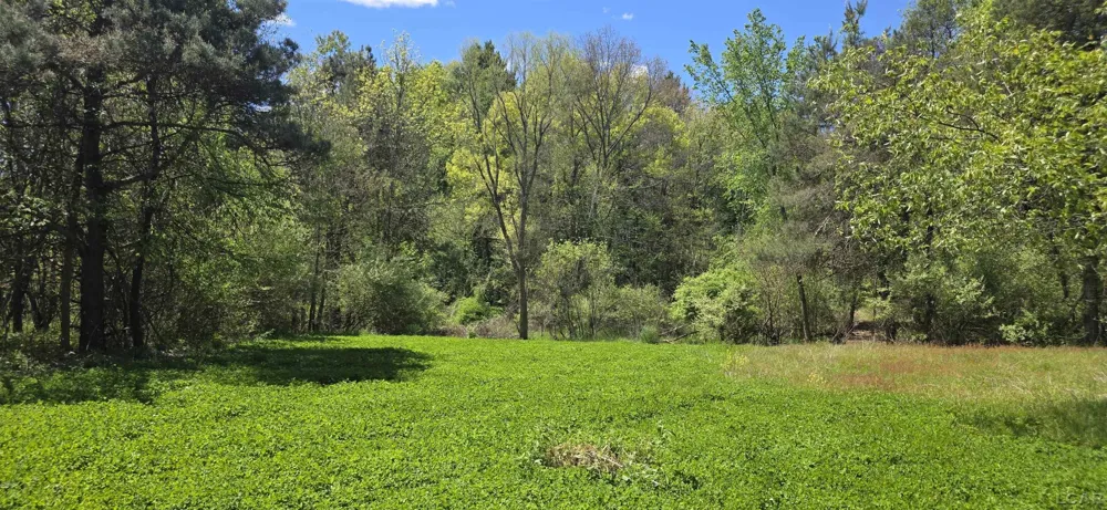 15252 27 Mile Road Sheridan Township, MI 49224