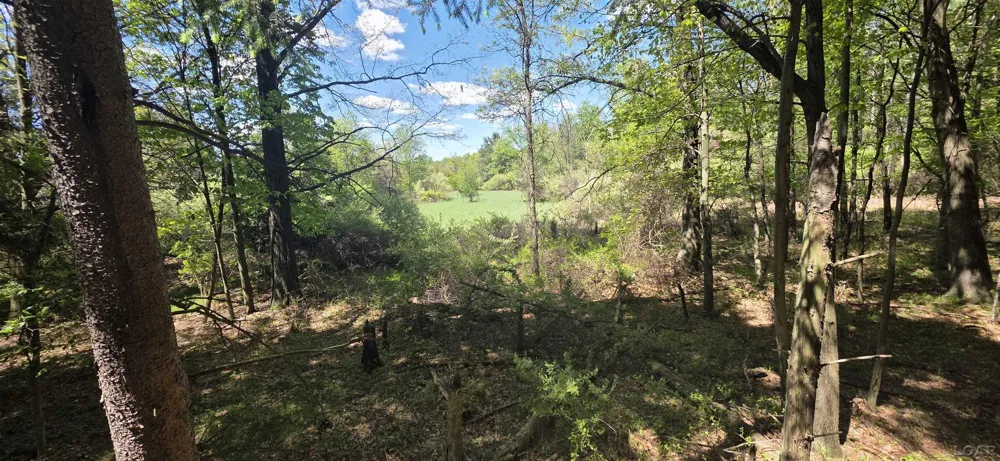 15252 27 Mile Road Sheridan Township, MI 49224