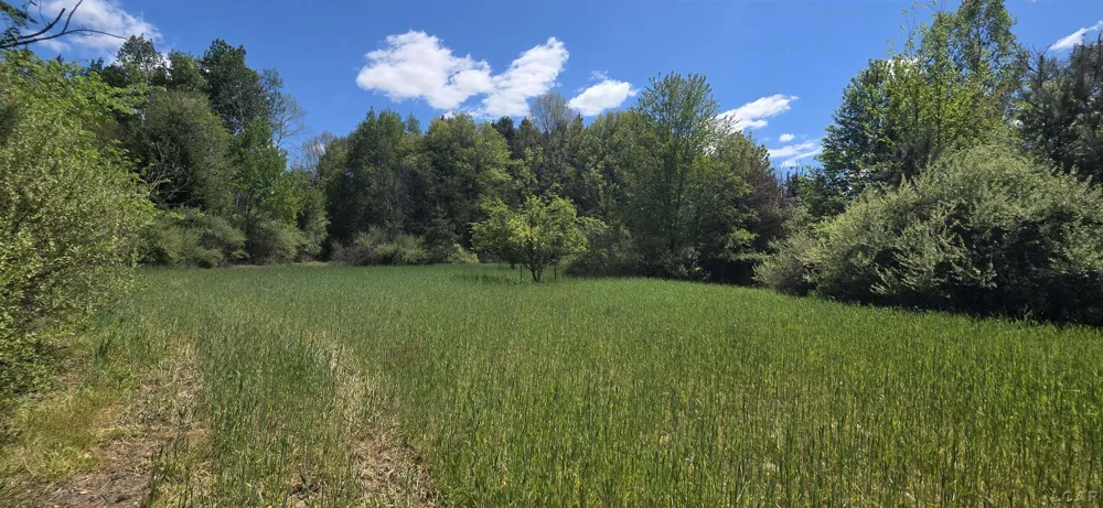 15252 27 Mile Road Sheridan Township, MI 49224