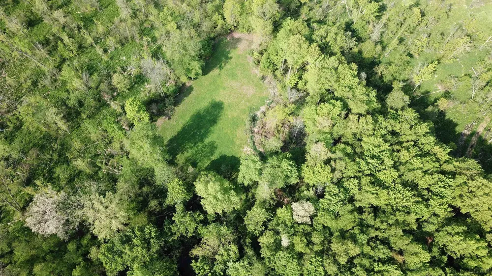 15252 27 Mile Road Sheridan Township, MI 49224