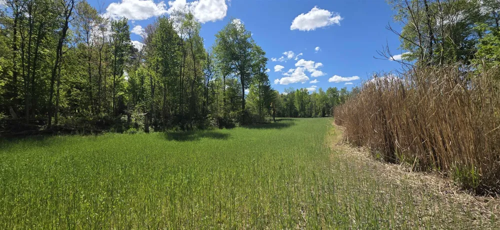 15252 27 Mile Road Sheridan Township, MI 49224