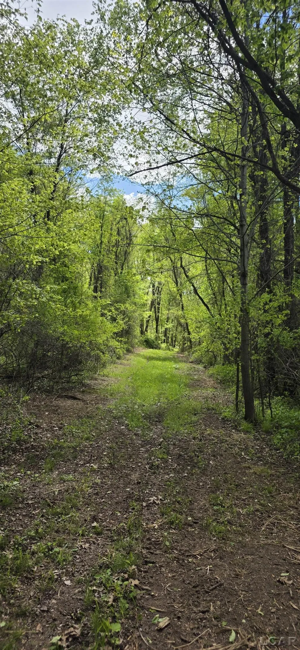 15252 27 Mile Road Sheridan Township, MI 49224