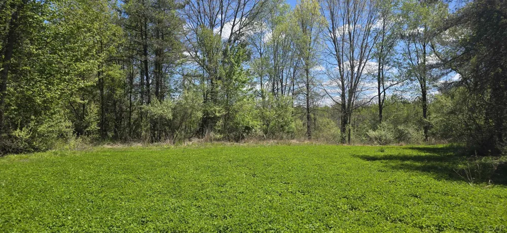 15252 27 Mile Road Sheridan Township, MI 49224