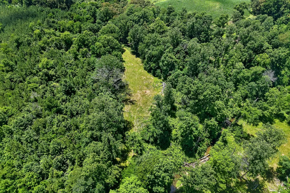 2531 Old Well Rd Morrison, TN 37357