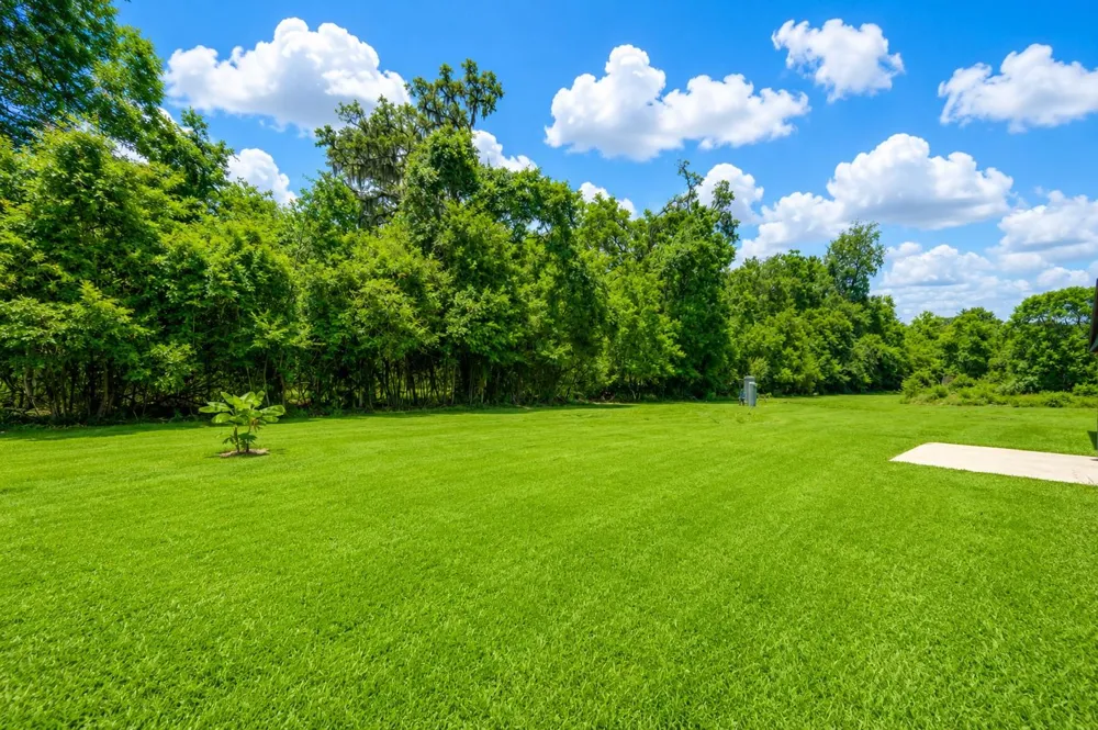 1011 County Road 678 Brazoria, TX 77422