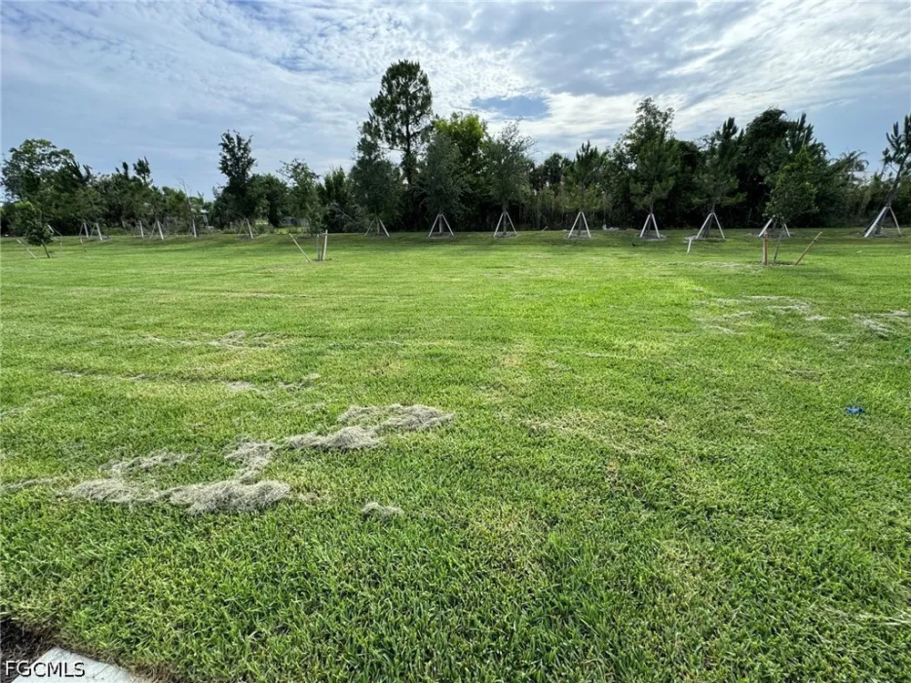 Cantu Court North Fort Myers, FL 33917